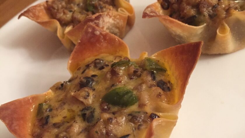 cheesy sausage stuffed wontons