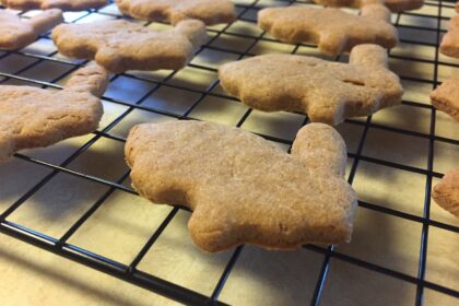 healthy dog treat