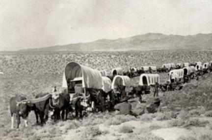 pioneer wagons