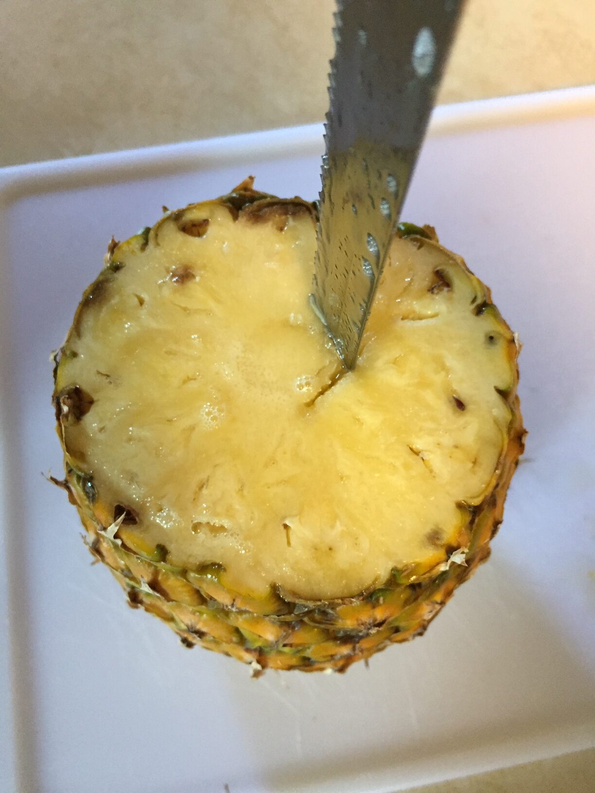 Dehydrated Pineapple A Snack and a Garnish! lakegirlquilts