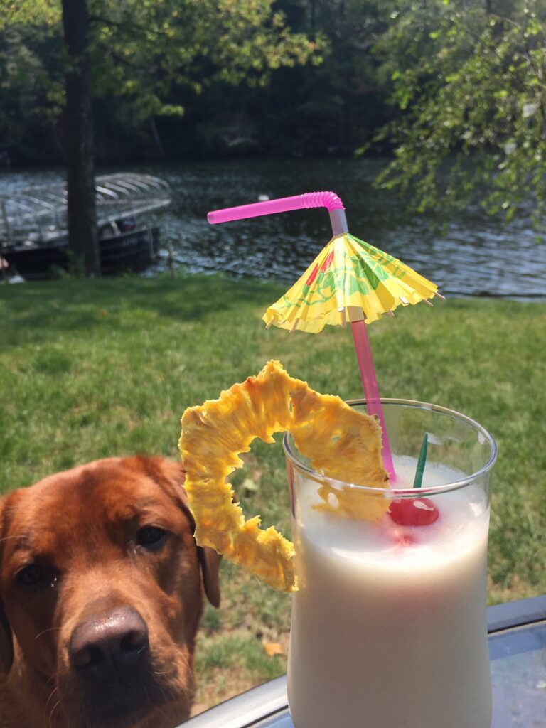 maggie would like a drink of the homemade pina colada but she's too little for that