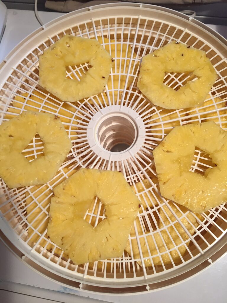 pineapple slices placed on racks of the dehydrator that will become dehydrated pineapple