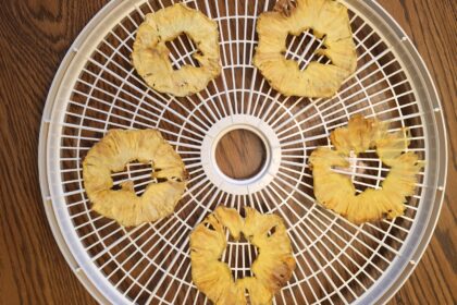 dehydrated pineapple of the rack