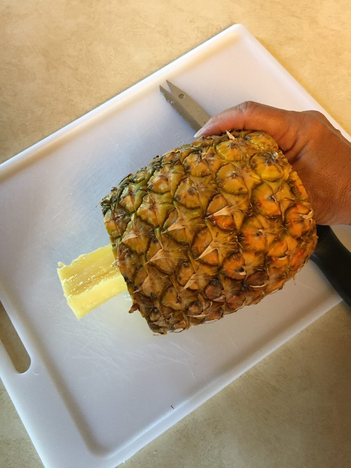 Dehydrated Pineapple A Snack and a Garnish! lakegirlquilts